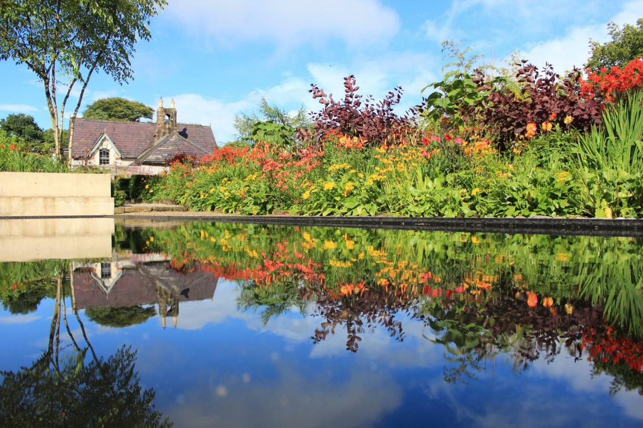 June Blake'S Garden Блессінґтон Екстер'єр фото