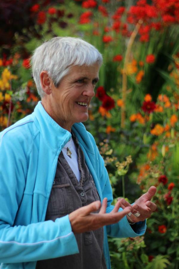 June Blake'S Garden Блессінґтон Екстер'єр фото